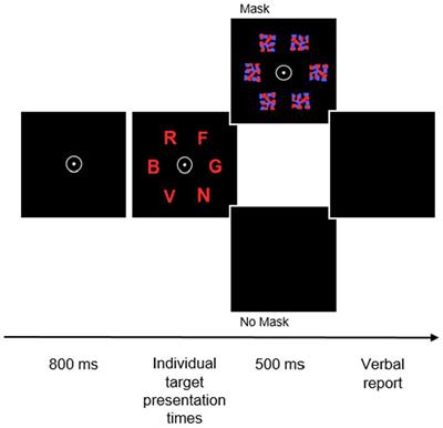 Impact of an online guided physical activity training on cognition and gut-brain axis interactions in older adults: protocol of a randomized controlled trial